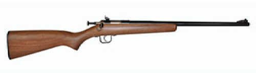 Crickett 22 Magnum Bolt Action Rifle 16" Blued Barrel Wood Stock